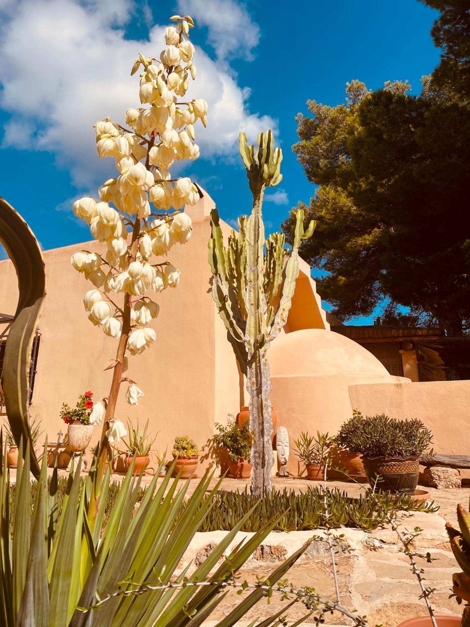 Finca Can Toni Sant Jordi de ses Salines Esterno foto